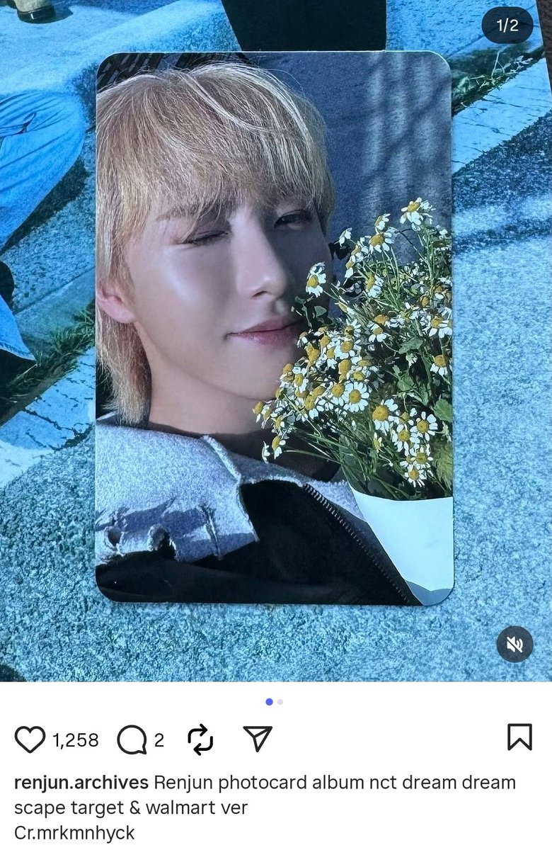 chia 🍰 tweet media