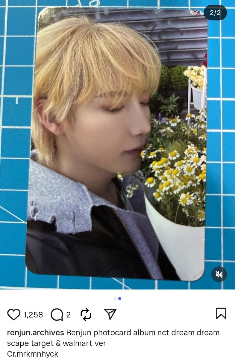 chia 🍰 tweet media