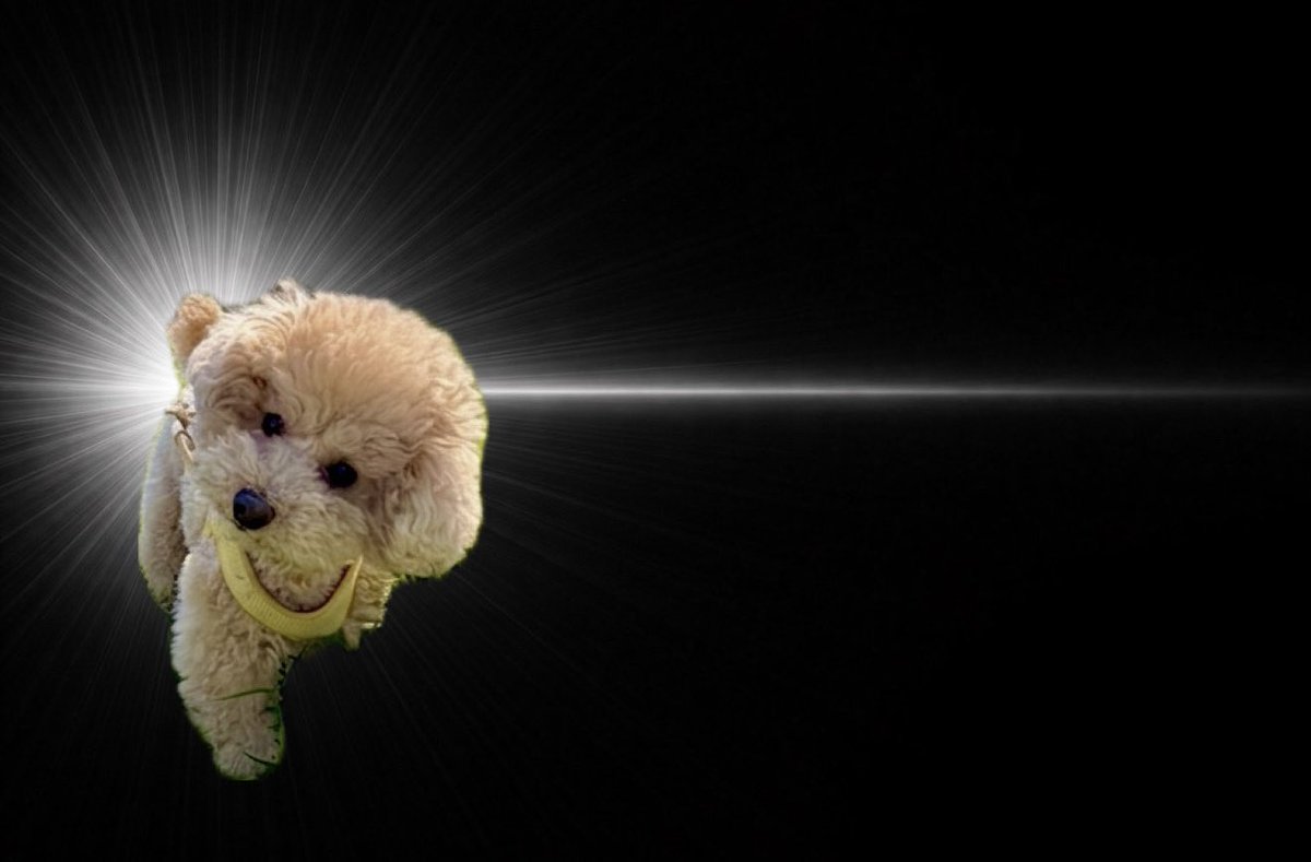 みみみ tweet media