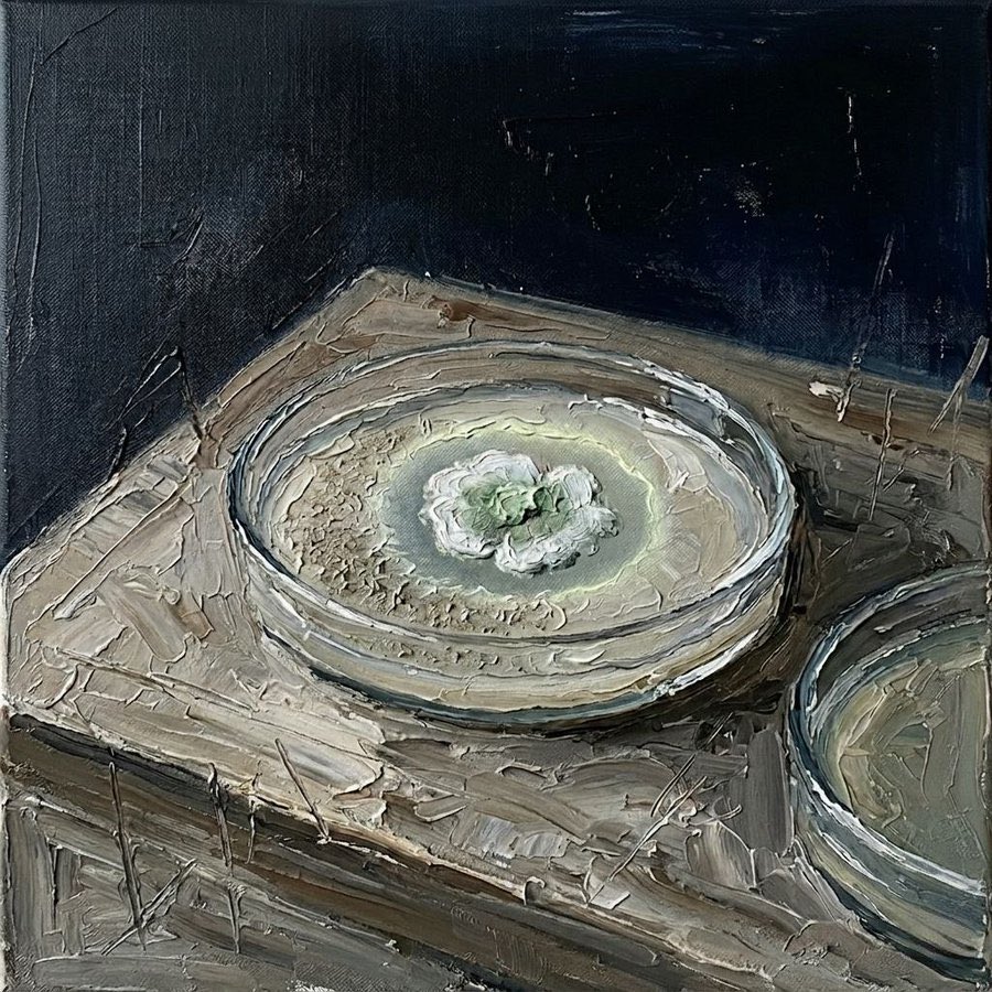 H0ld.sats tweet media