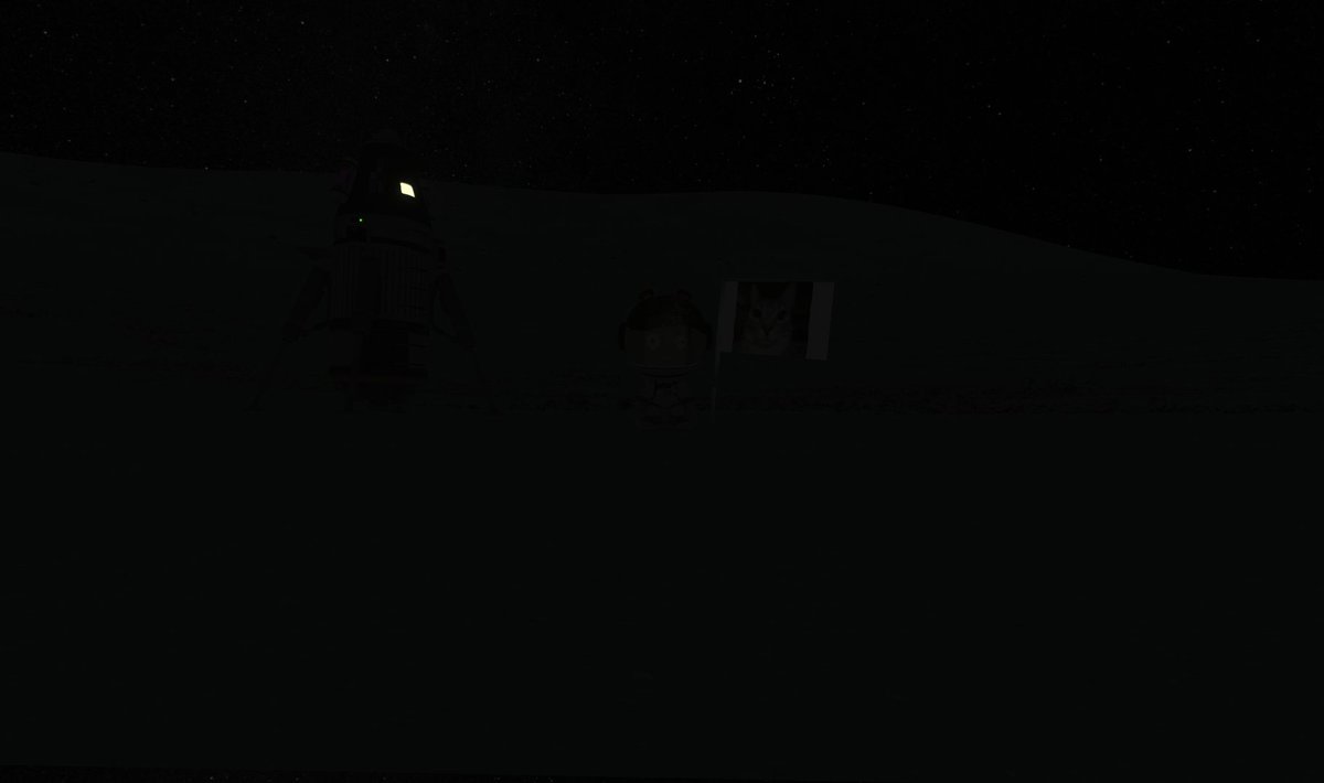 Lymantria tweet media