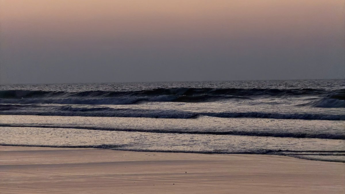 Marvin Ellington tweet media