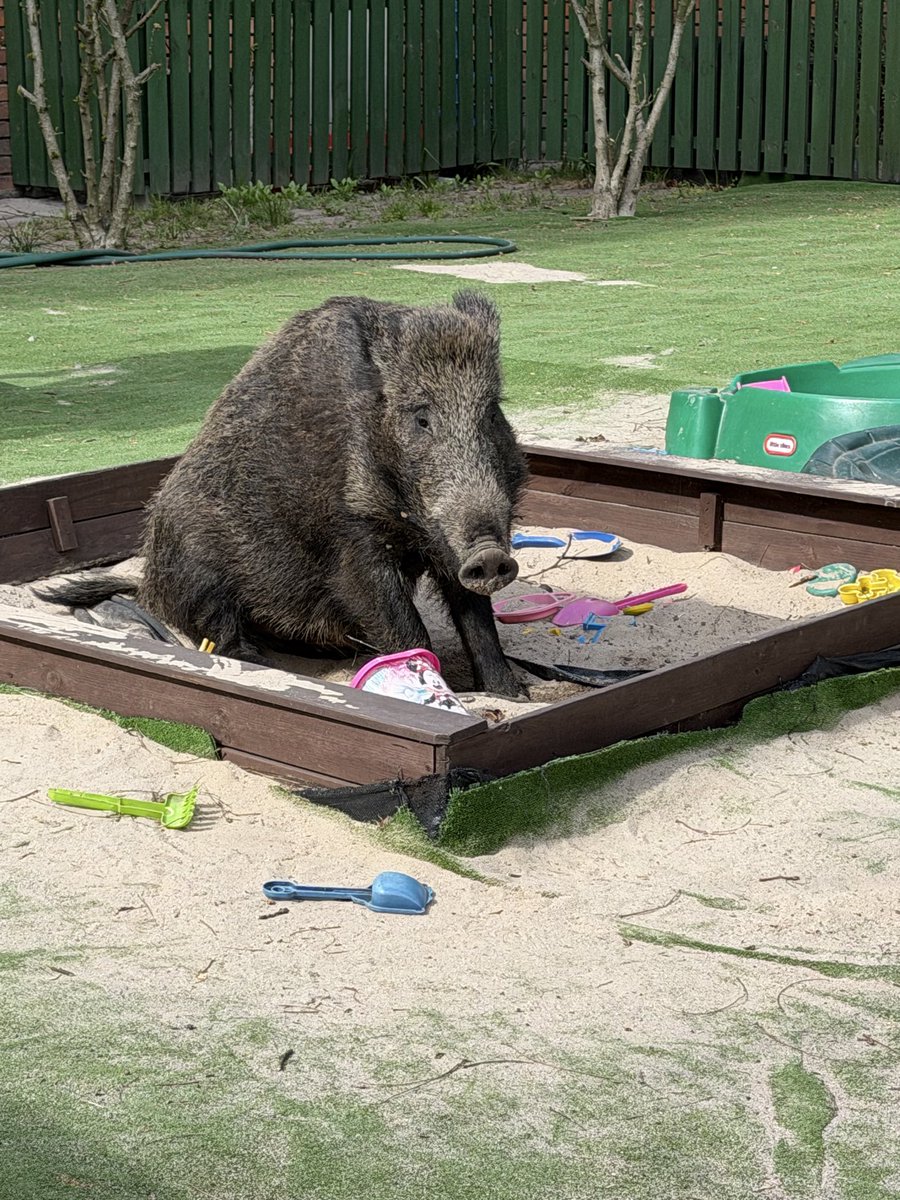 *Magdalena ✌🏻🇵🇱 🇪🇺#PięknaPomadka💋 tweet media