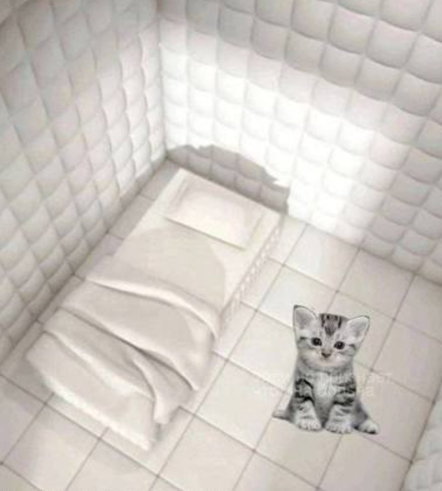 миccиc мaлдep tweet media