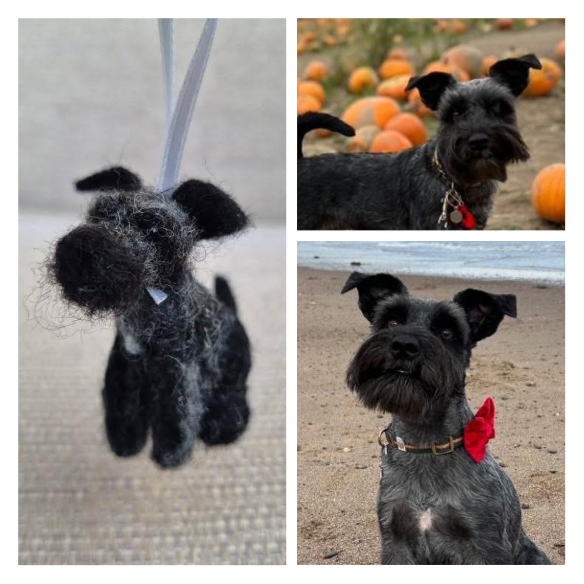 RockingFelter's tweet image. I'm proud to share a commission order that I made during Christmas last year. My lovely customer asked if I could make a miniature of her gorgeous Schnauzer pet as a little hanging Christmas decoration. 
I'm thrilled to say that he was very well received ❤️
#schnauzer #dogs #etsy