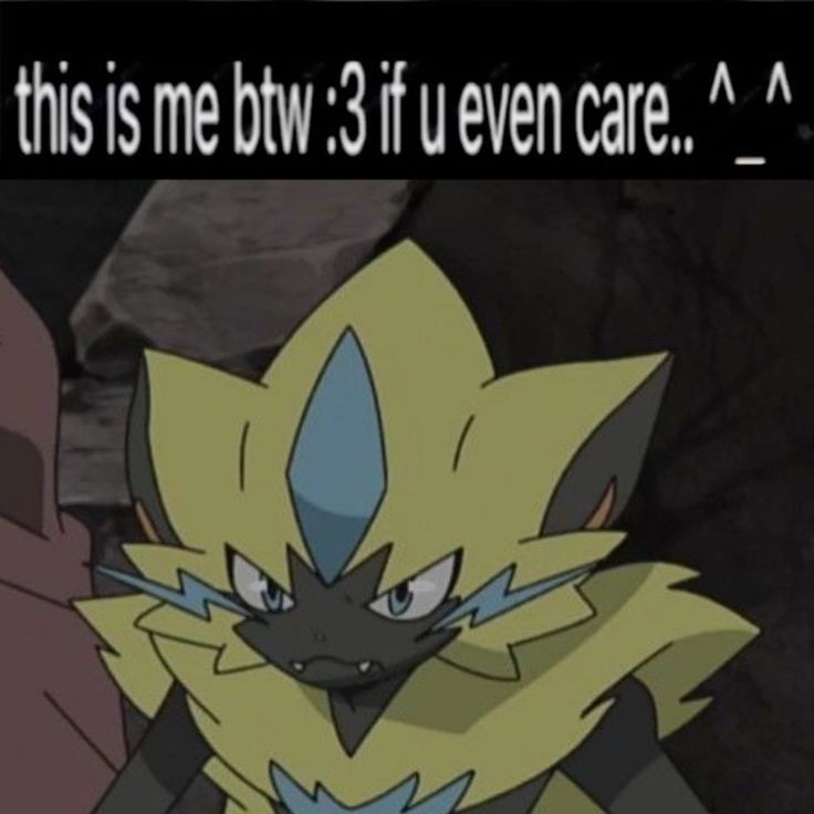 Daily Zeraora tweet media