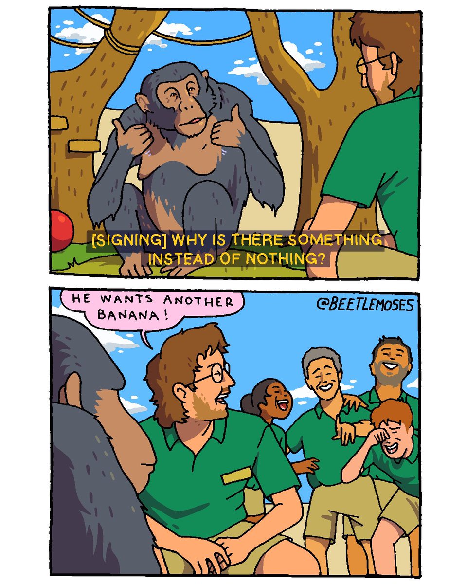 beetle moses tweet media