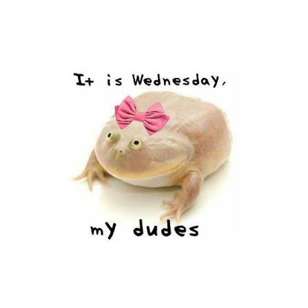 PWOS2026 tweet media