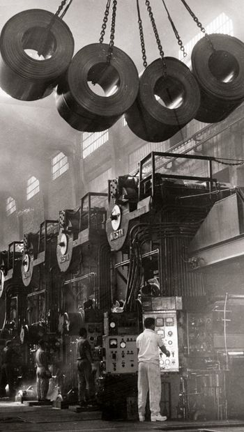 The Bull Moose Project tweet media