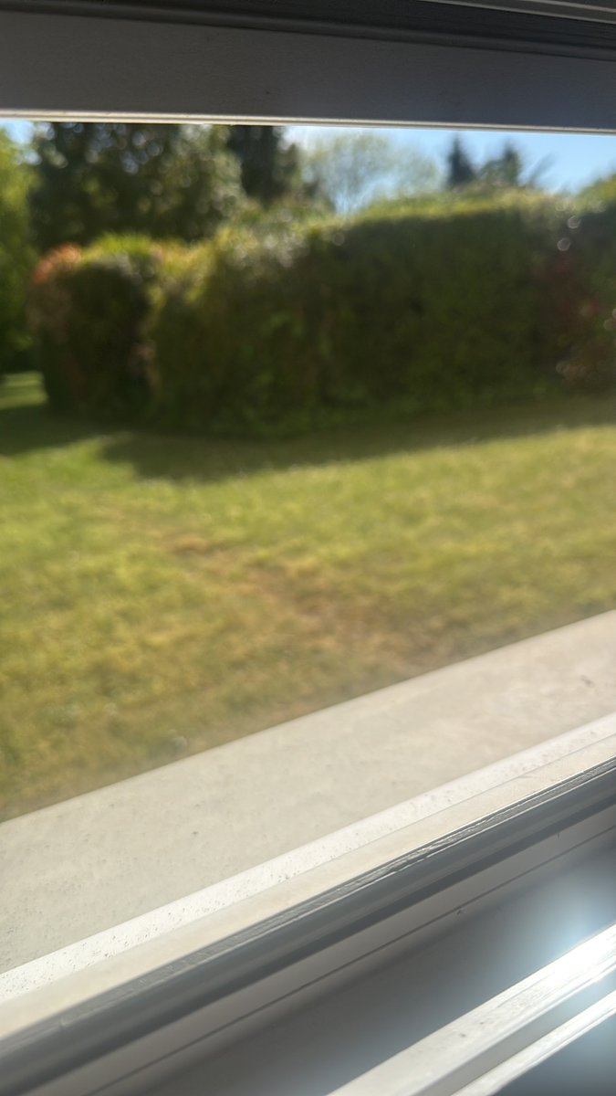 🐛jeno’s manager, PhD✰✰ tweet media