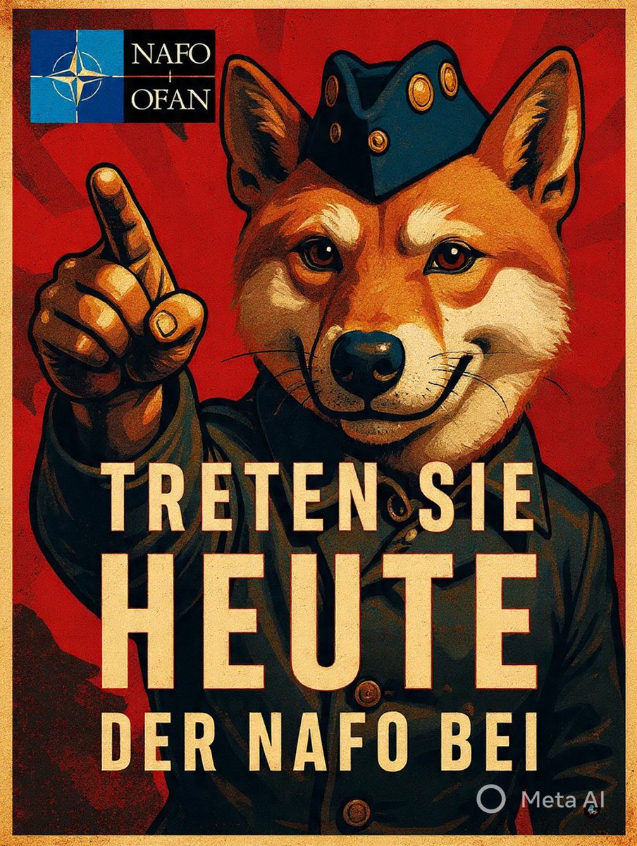 hotsnow Fella 🏴‍☠️🇫🇮🇺🇦🇪🇪🇨🇦🦈 tweet media