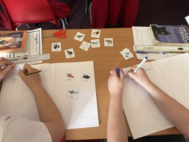 Deneholmprimary tweet media