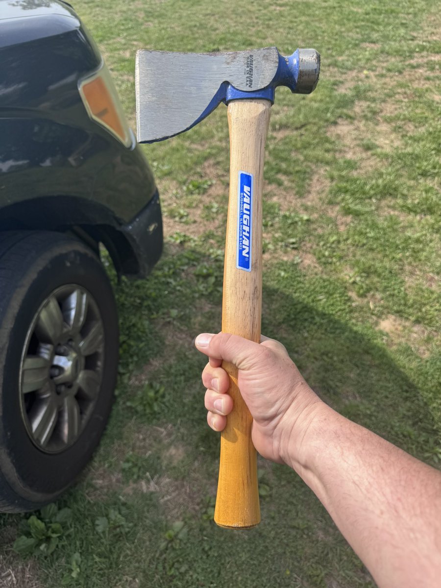 Half A Pond tweet media