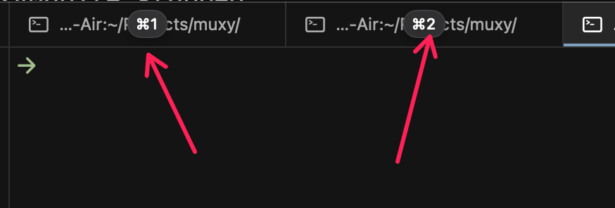 Saeed Vaziry ⚡ tweet media