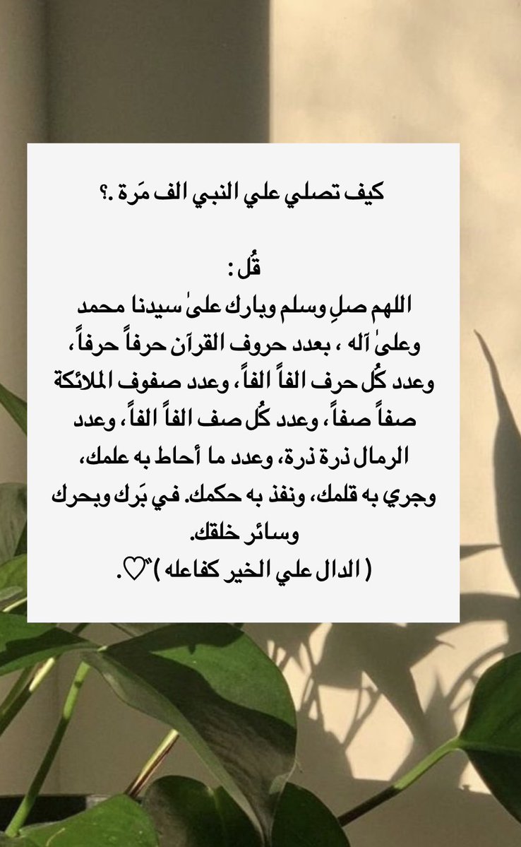 𓆩شيخة𓆪 tweet media