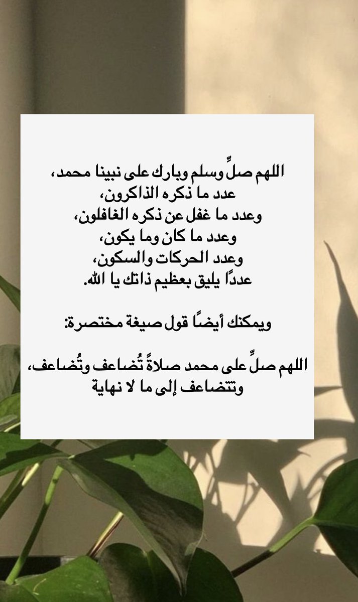 𓆩شيخة𓆪 tweet media