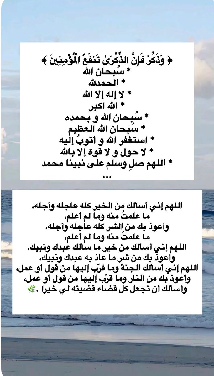 𓆩شيخة𓆪 tweet media
