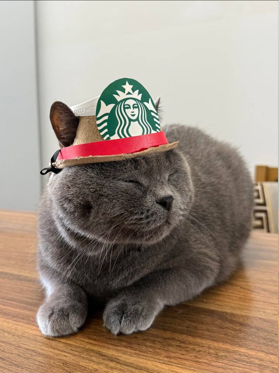 Anuuu8797's tweet image. #Coffee #Starbucks