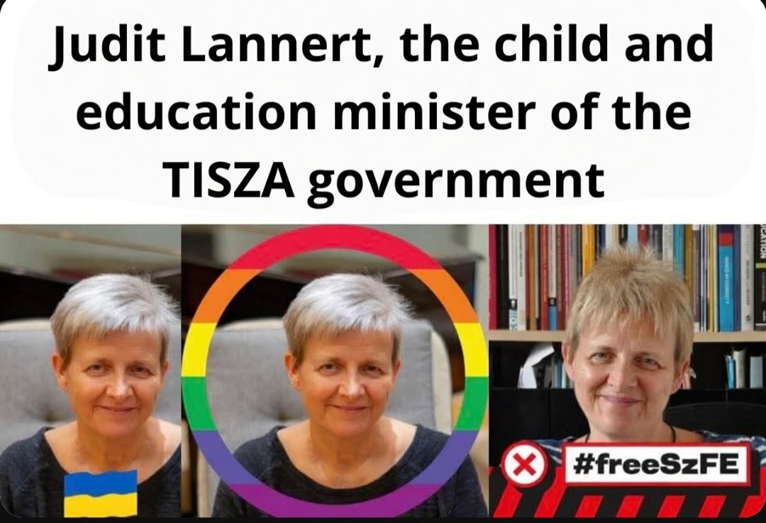 Daily Hungary tweet media