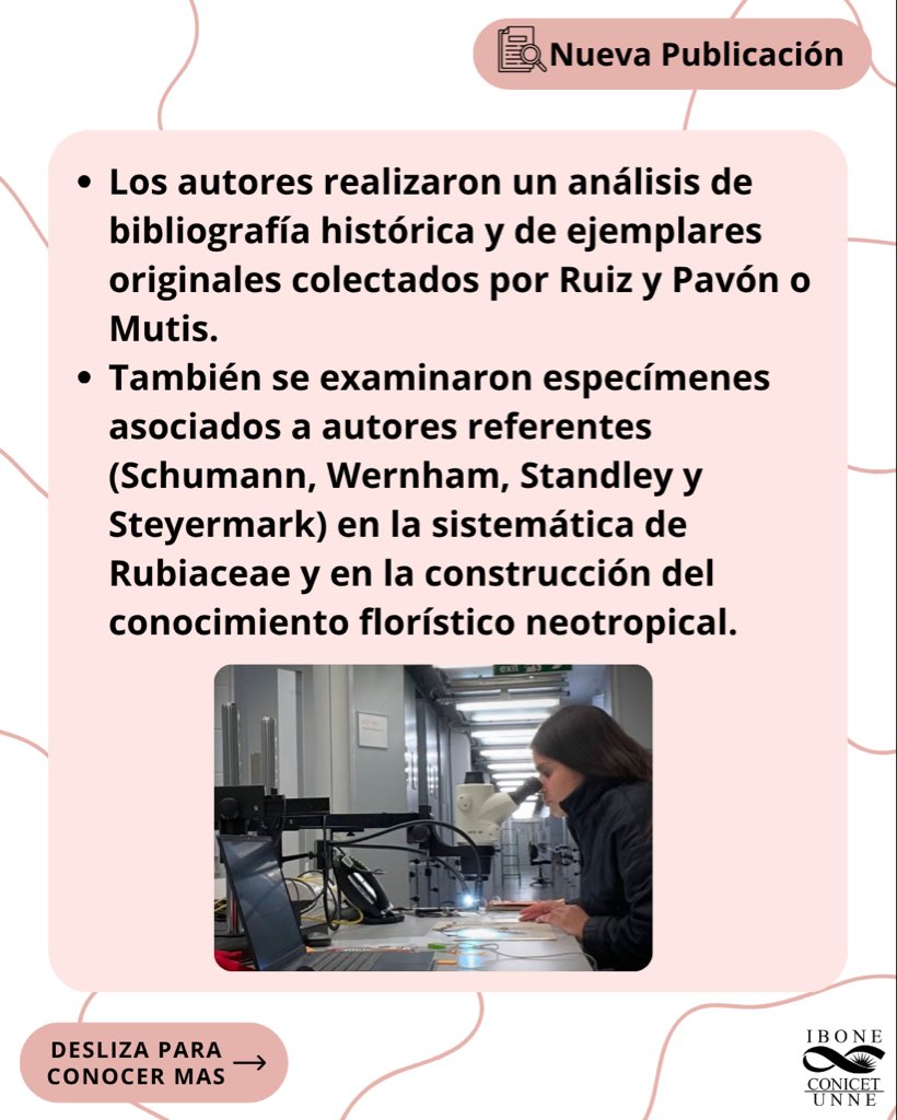 Instituto de Botánica del Nordeste tweet media