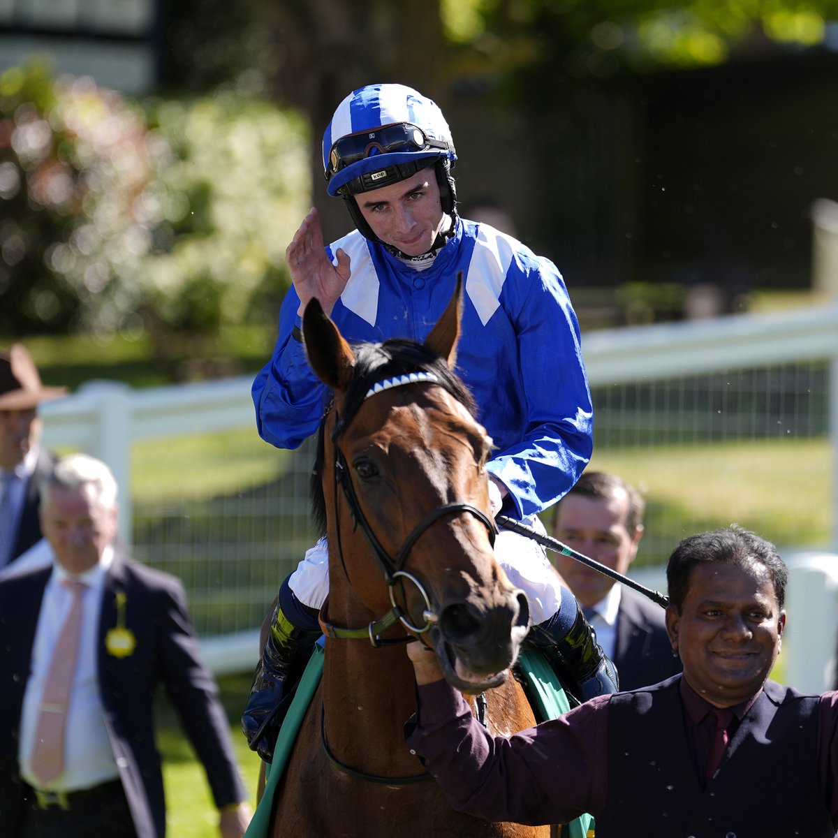 AtTheRaces's tweet photo. Job well done, @Rossaryan15 🫡 https://t.co/OOOsleBEGw