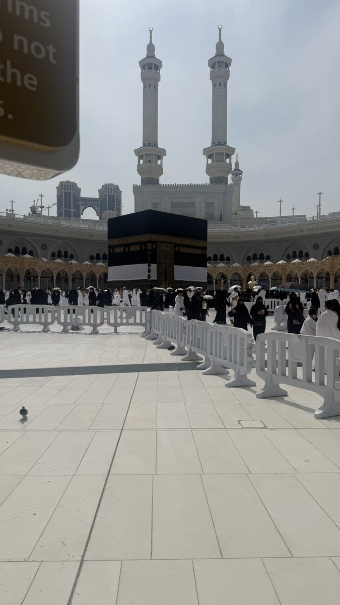 ايـلاف tweet media