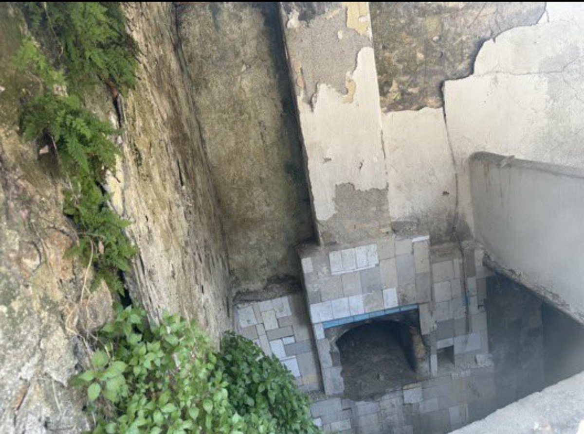 Mancınık Team tweet media