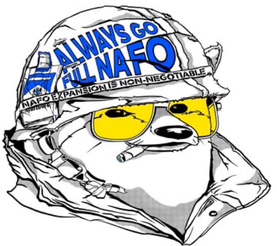 hotsnow Fella 🏴‍☠️🇫🇮🇺🇦🇪🇪🇨🇦🦈 tweet media