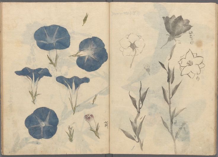 í (@neverrtoheavenn) on Twitter photo 