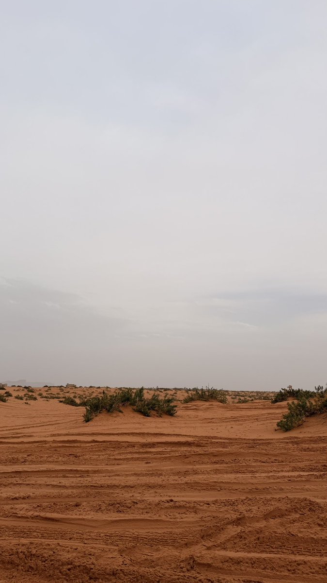 | sara🎓| tweet media