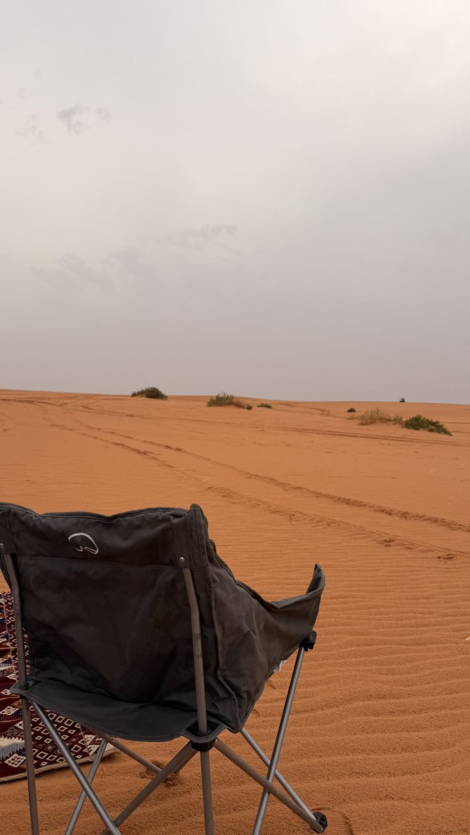 | sara🎓| tweet media