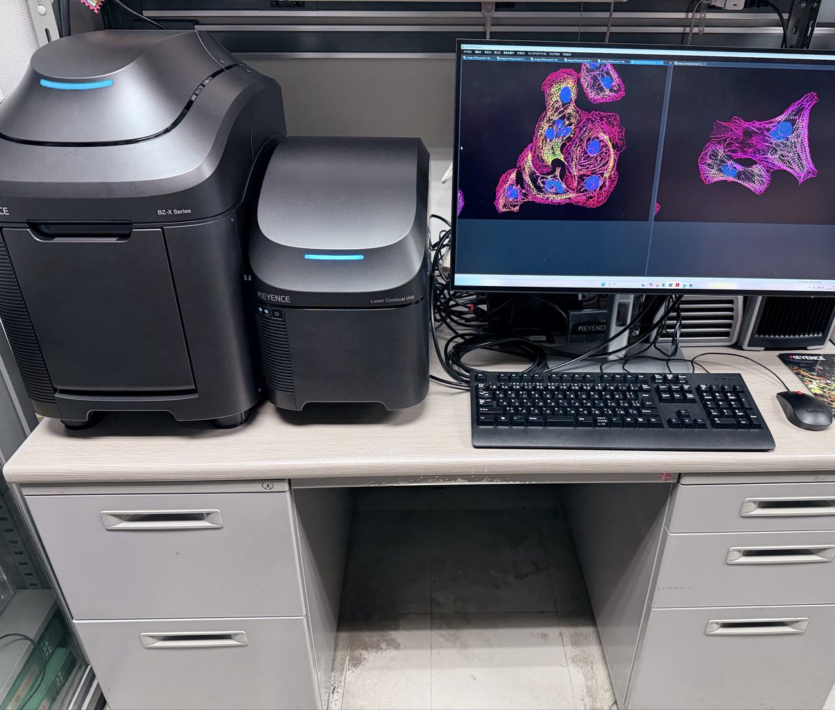 kentmochizuki's tweet image. Confocal is finally office-sized;)
Thanks KEYENCE for bringing us a demo of the new confocal unit. Easy to use, enough image quality. Attached is one of best shots: αTubulin(G)/Vimentin(R)/Actin(M)/Nucleus(B) of HeLa. 

BZ-X1000, BZ-XLC1 @KeyenceMicro 
#Confocal #Microscopy #HeLa