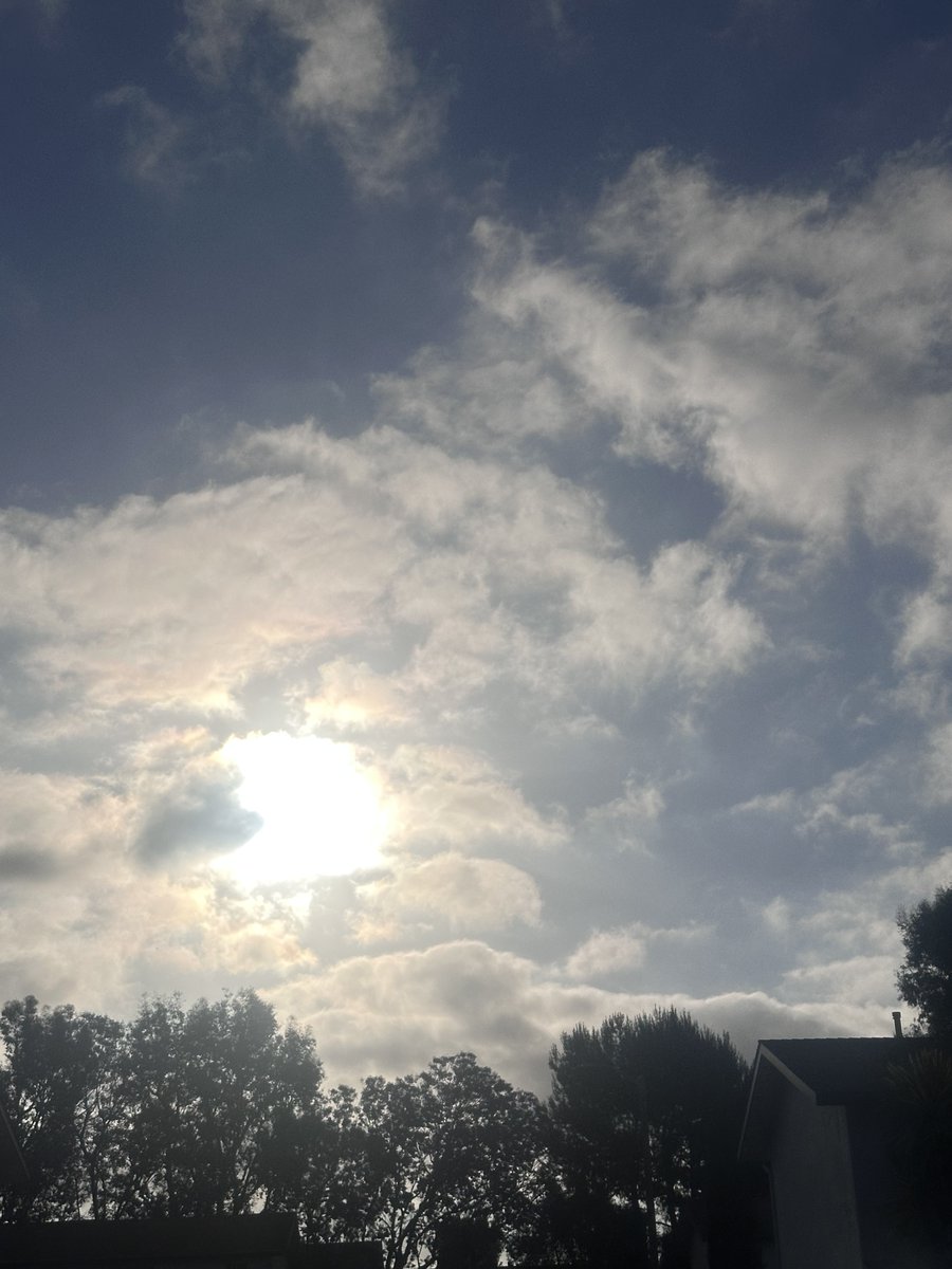 NKaravedas's tweet photo. Morning and Happy Friday everyone.....Another week closer to the big R word for yours truly. Blessed beyond measure!
Have a GREAT weekend! ππ΄ππ
#OG #HuntingtonVibes #WorkFromHomeFriday #24WorkDays #GreatTimeOfLife #Retirement https://t.co/pKSs2Mmhjy