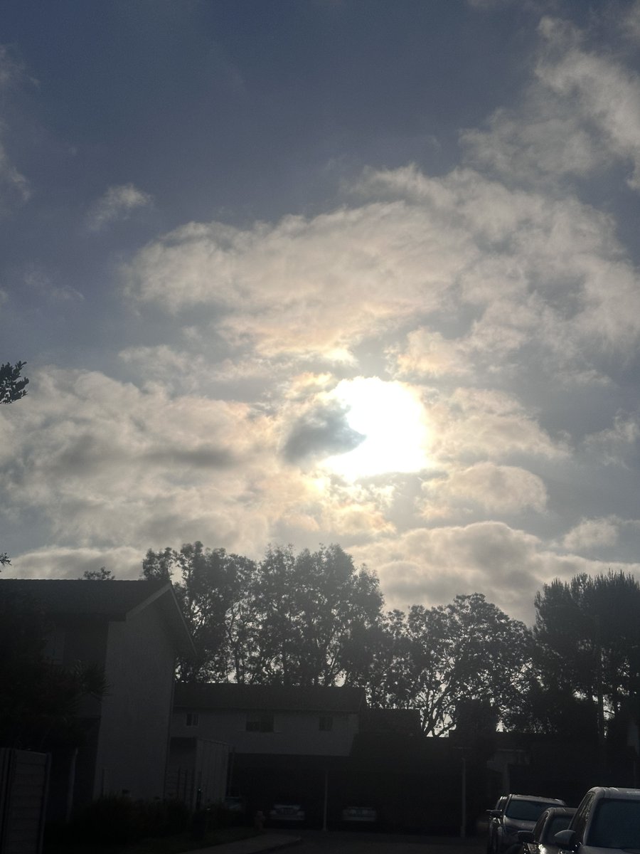 NKaravedas's tweet photo. Morning and Happy Friday everyone.....Another week closer to the big R word for yours truly. Blessed beyond measure!
Have a GREAT weekend! ππ΄ππ
#OG #HuntingtonVibes #WorkFromHomeFriday #24WorkDays #GreatTimeOfLife #Retirement https://t.co/pKSs2Mmhjy