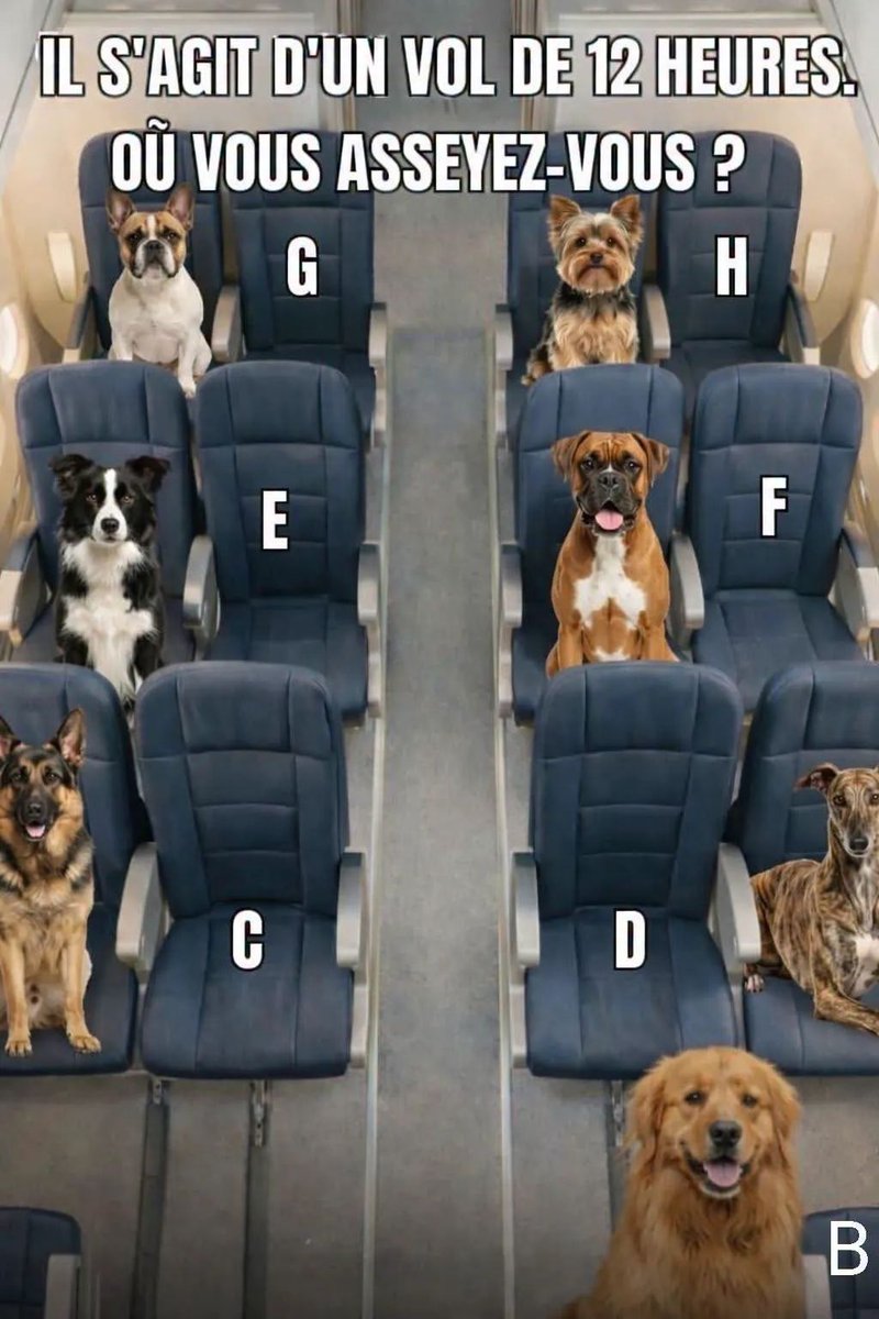 The Joconde 🐦 tweet media