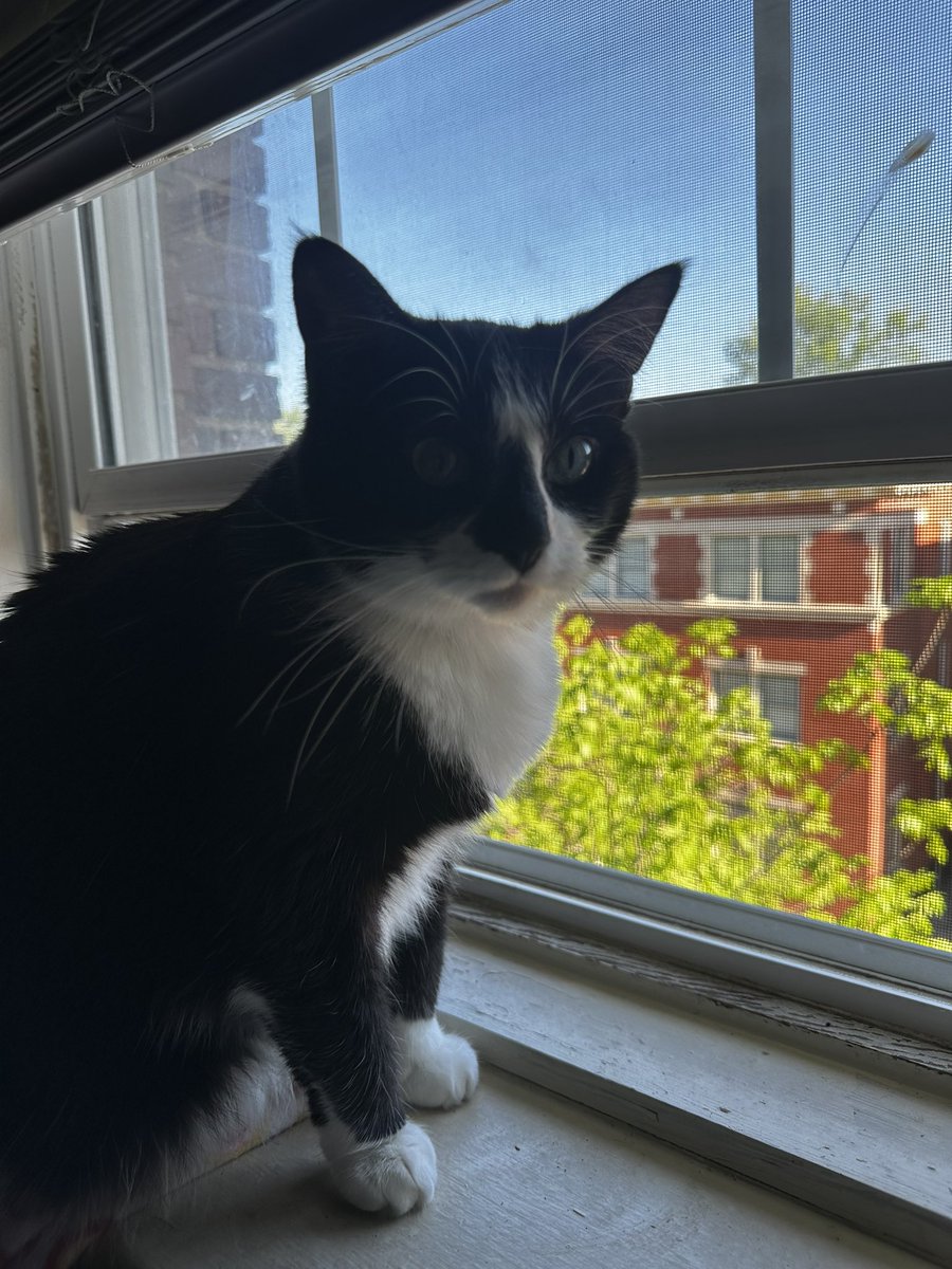 bootsy 🧡 gus tweet media