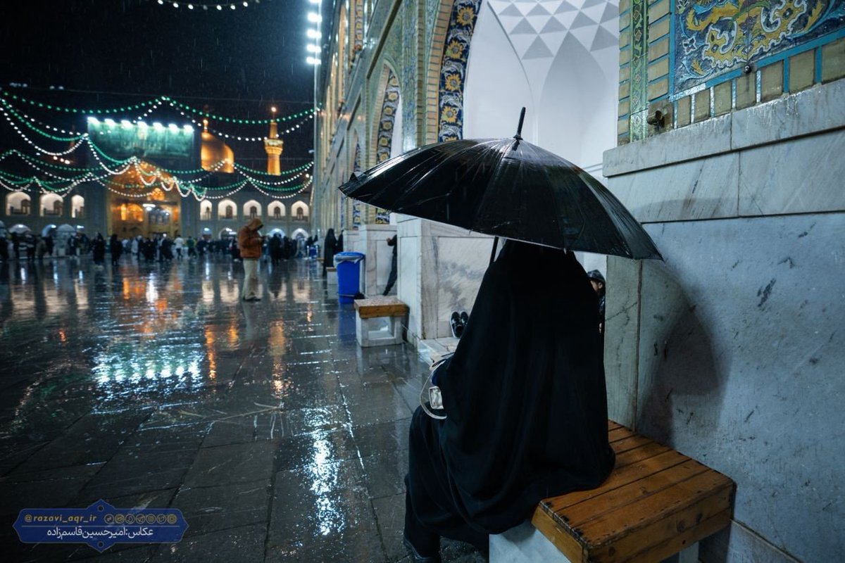 گل نرگس tweet media