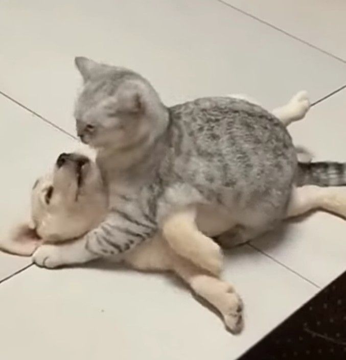 แจม่ายมีวันเอาชนะจั้นอั่ยบ้อกแบ้ก 

#ต้าห์อู๋ออฟโรด #DaouOffroad