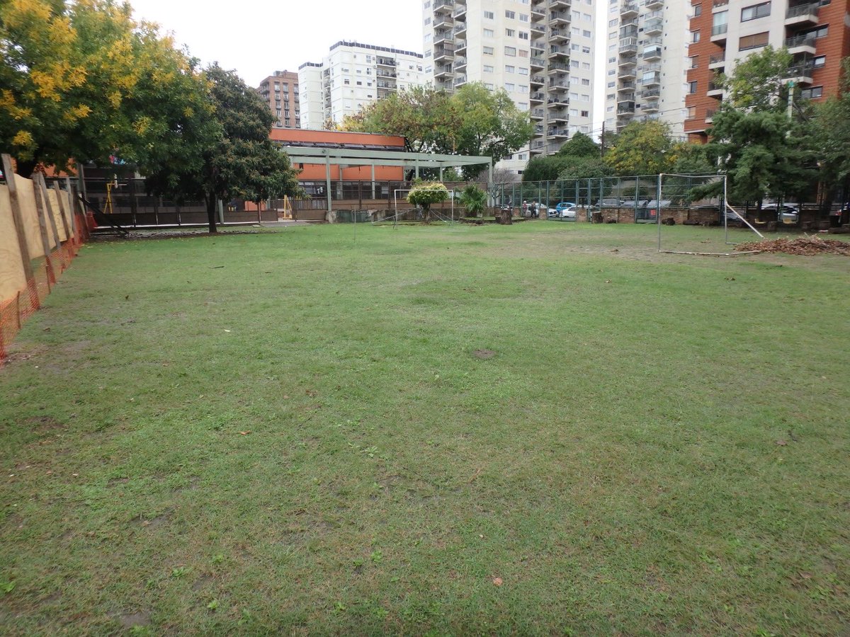Rodolao tweet picture