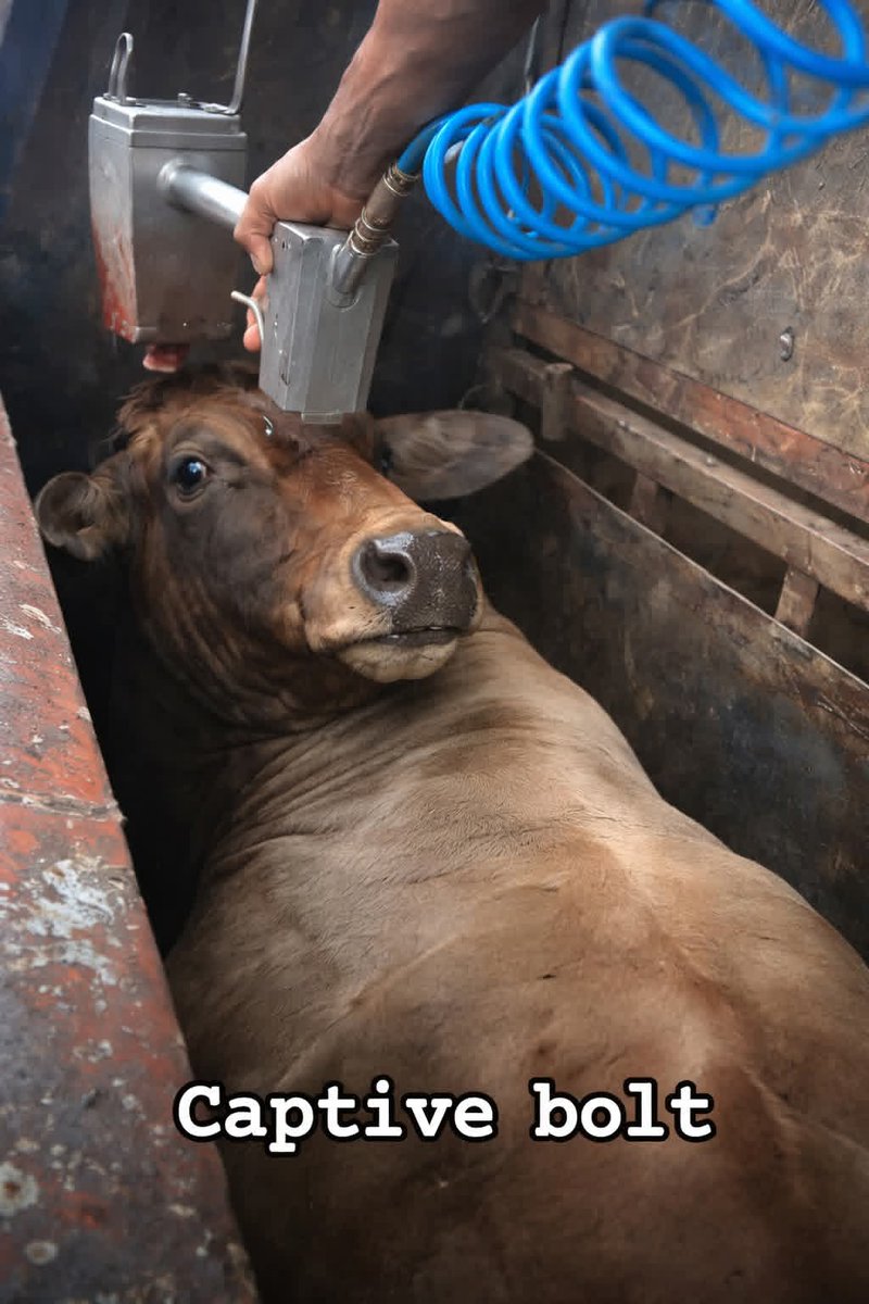 Aakash Shaw tweet media