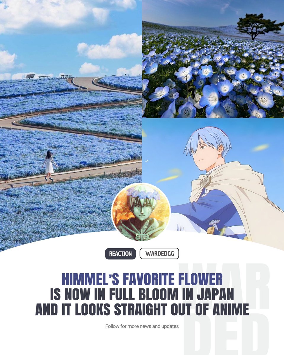 Anime Origin tweet media
