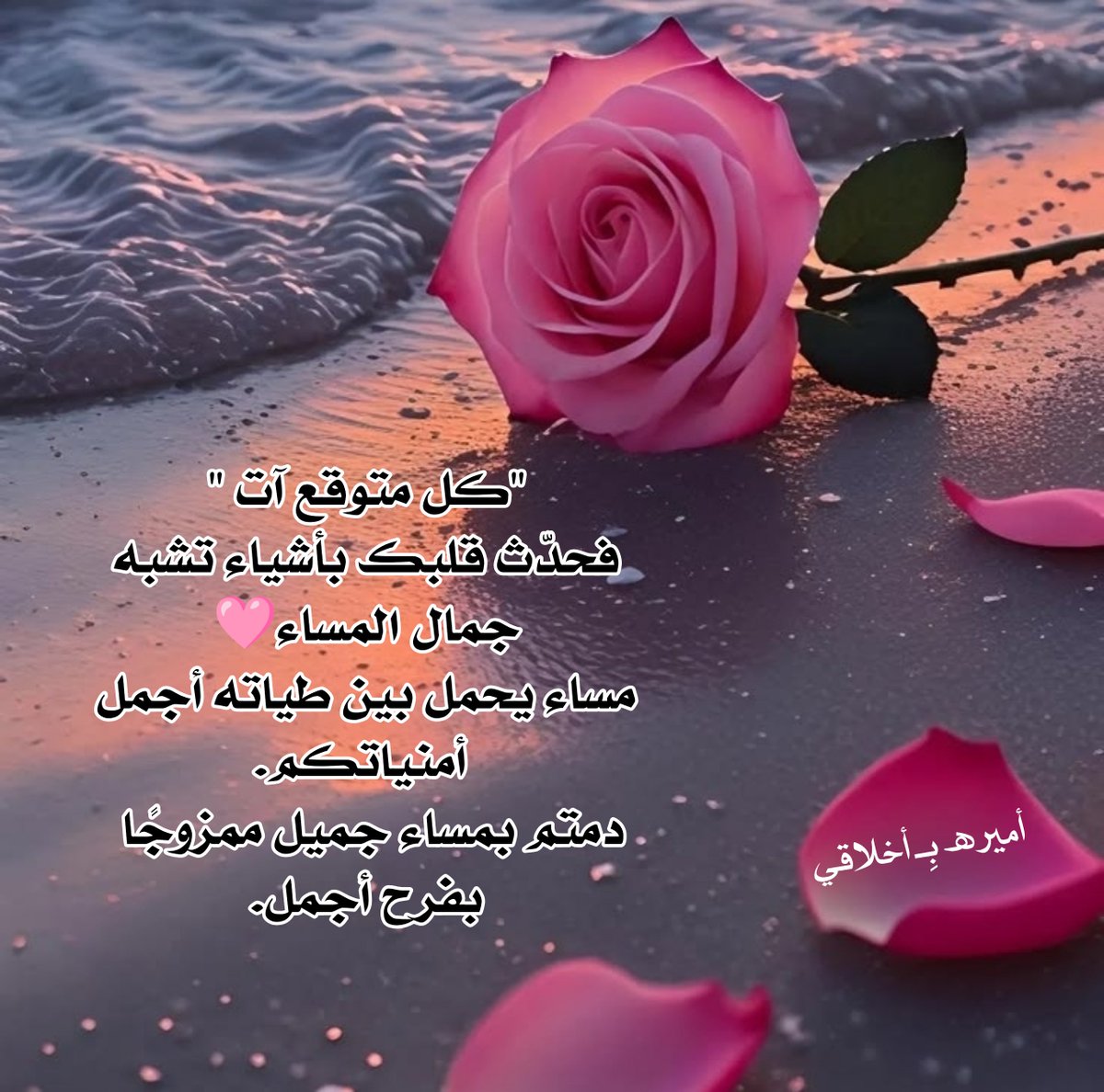 🩷ورد الياسمين🩷 tweet media
