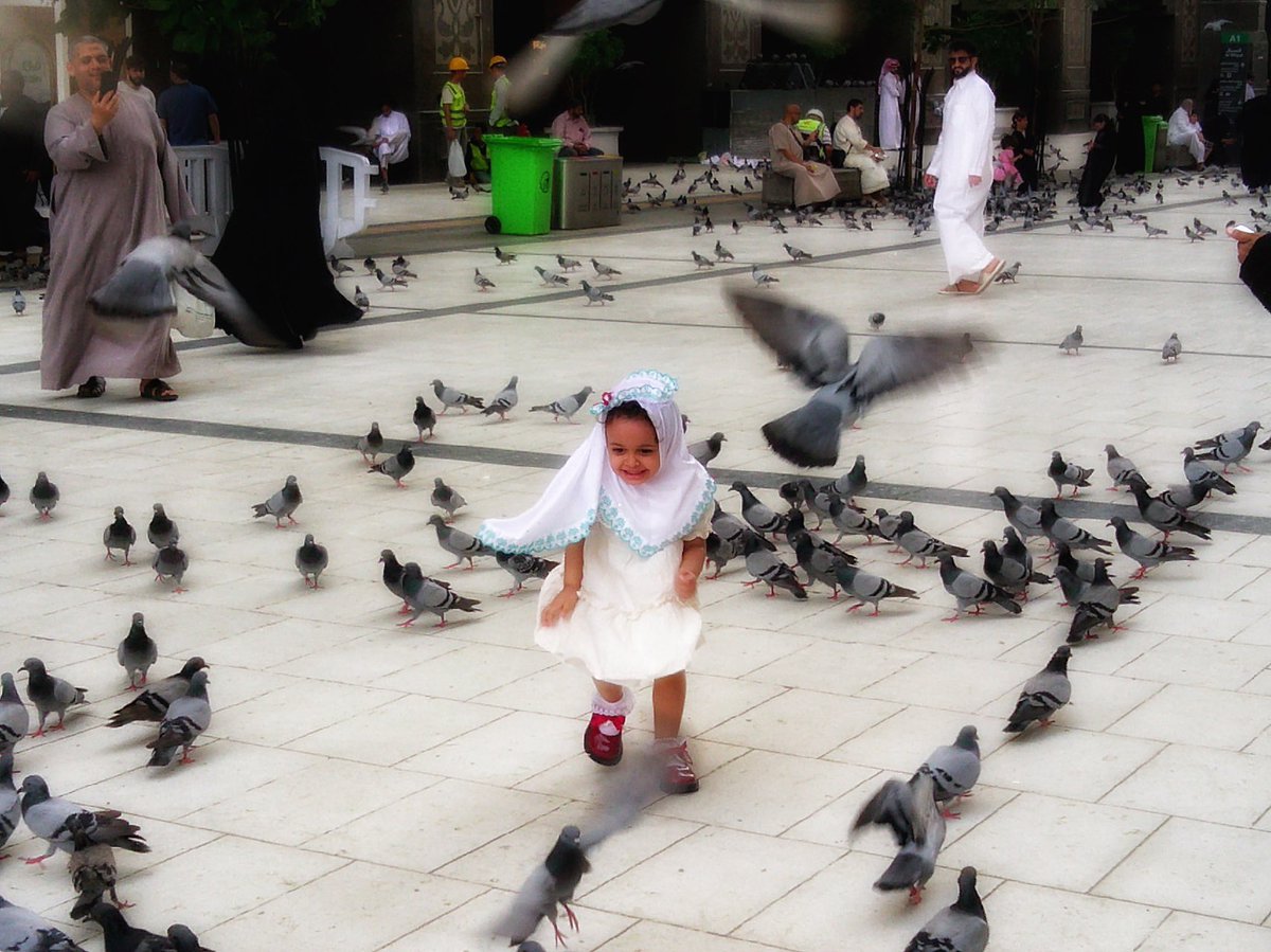 ٰ (@anoudteeq) on Twitter photo 