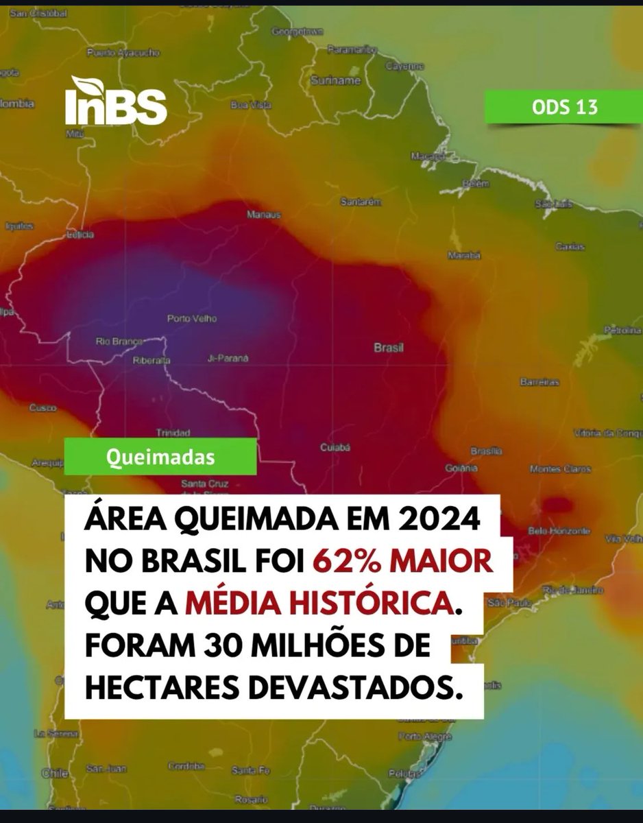 Evandro - O Brasil não é para amadores tweet media