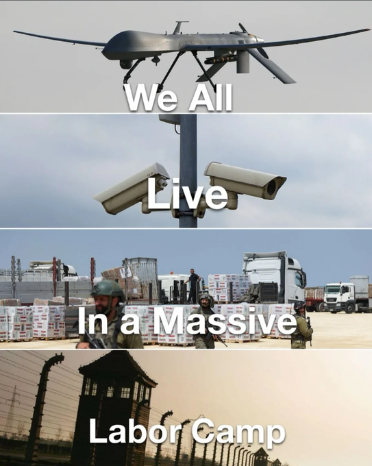 ❄️ Snow 🔻 Himbo ☭ tweet media