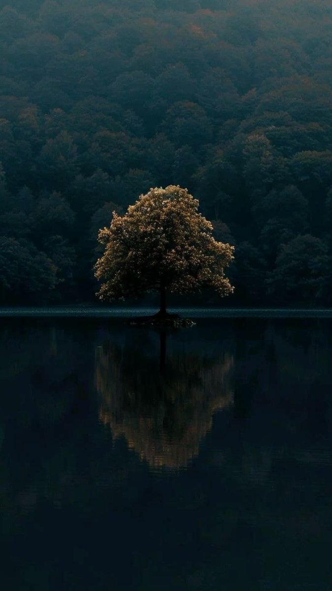 Nature🍃 tweet media