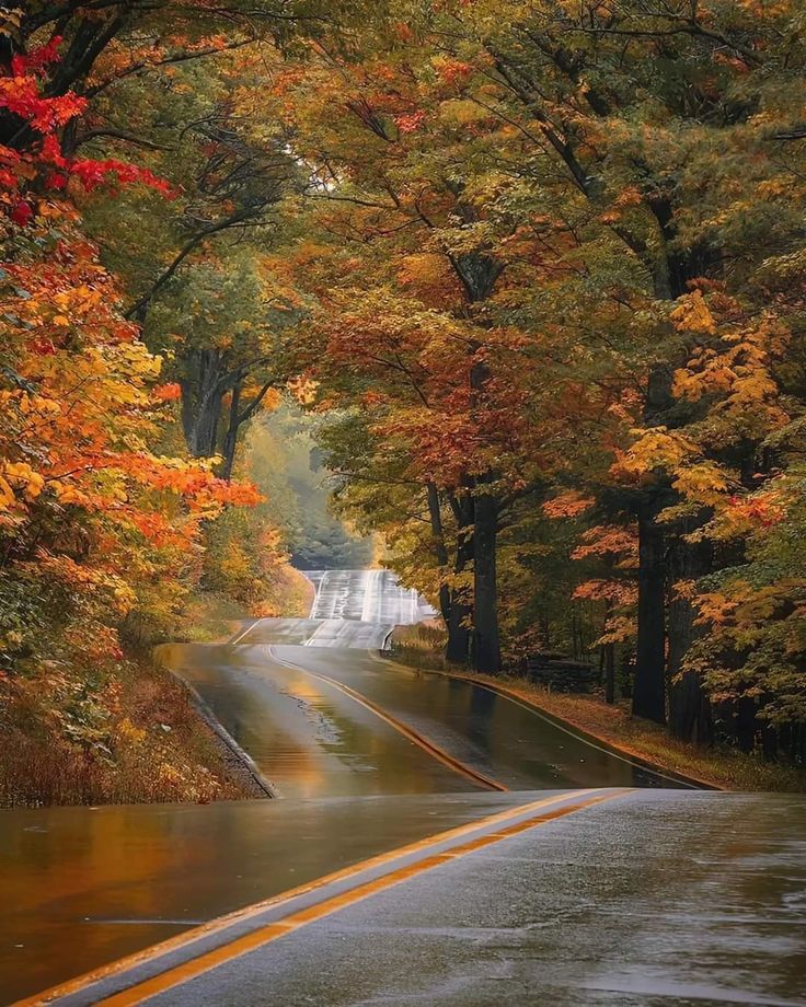 Nature🍃 tweet media