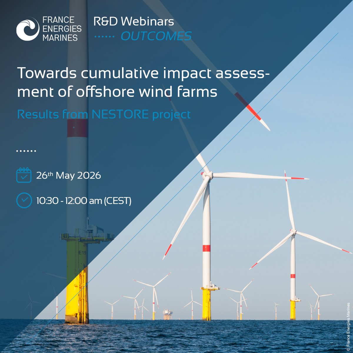 FrceEnergiesMar's tweet image. [#WEBINAR] The #NESTORE project has developed ecosystem modelling tools for studying the cumulative impacts of offshore wind farms and other human activities.
Register for its final webinar on 26 May to find out about the main  outputs of the project.  
👉events.teams.microsoft.com/event/a5e70612…