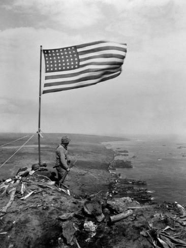 The Bull Moose Project tweet media