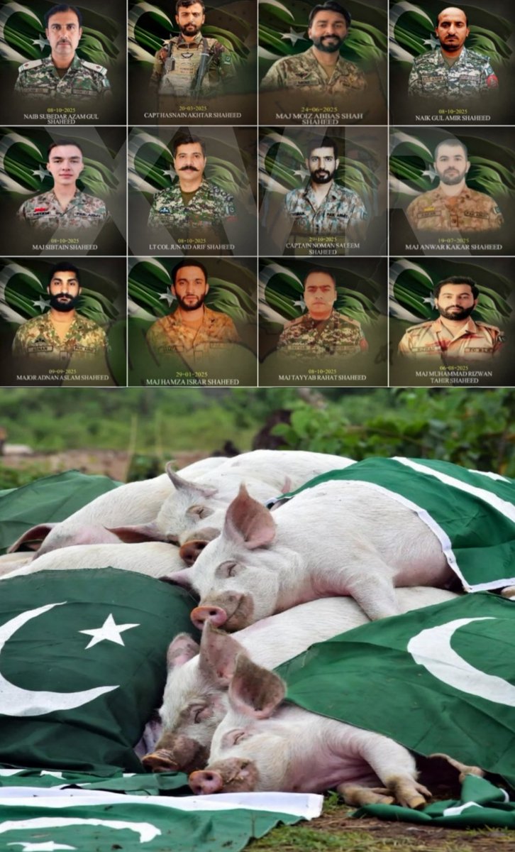 Meghdoot tweet media